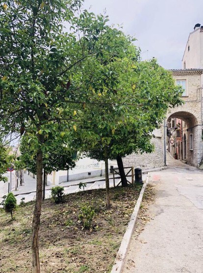 B & B Porta San Paolo Terrace