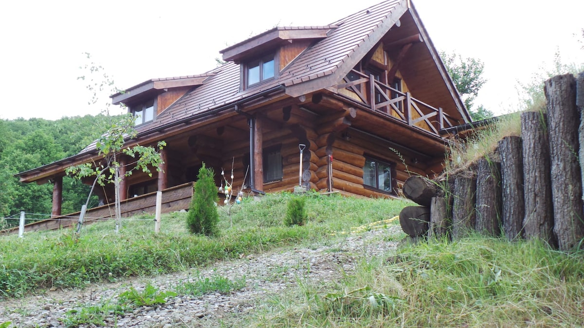 科瓦斯纳县Valea Dobarlaului村的Gruia Chalet。