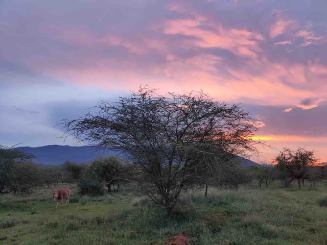 Kajiado County的民宿