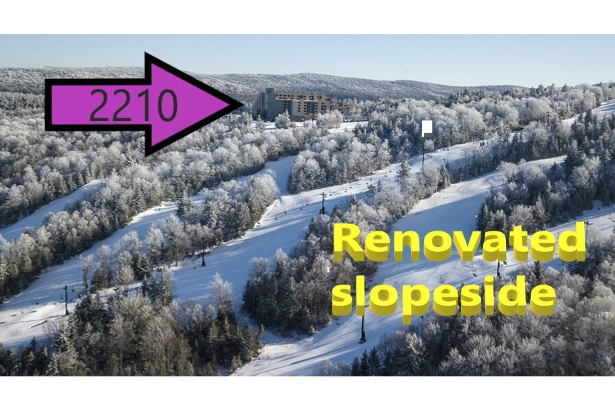 2210翻修的斜坡侧/景观，滑雪进出，滑雪板6