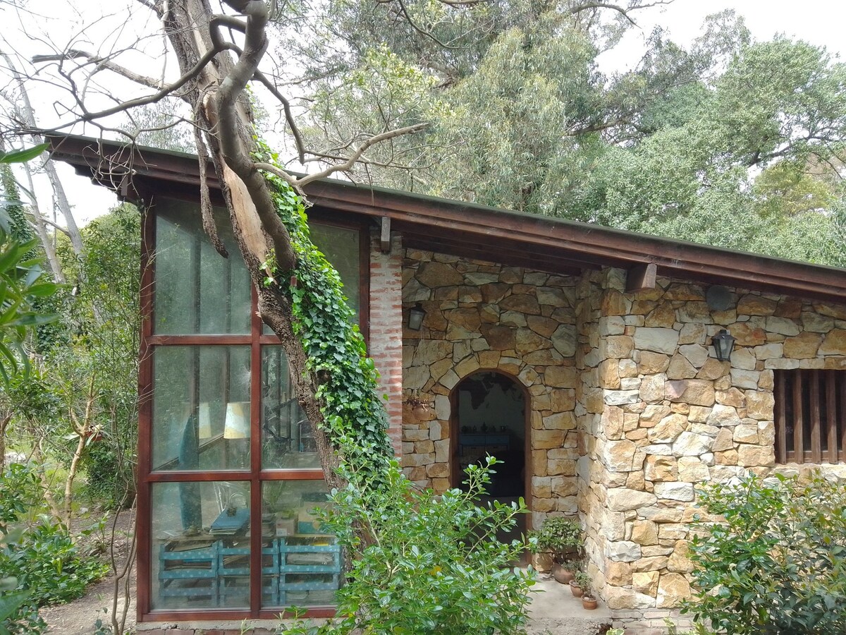 Casa Mar y Pampa en Los Acantilados.
Casa de estilo, con hogar tipo estufa rocket, galería interior de madera y vidrio con vista al bosque, frente al campo y a 1km de la playa. Ideal para parejas.