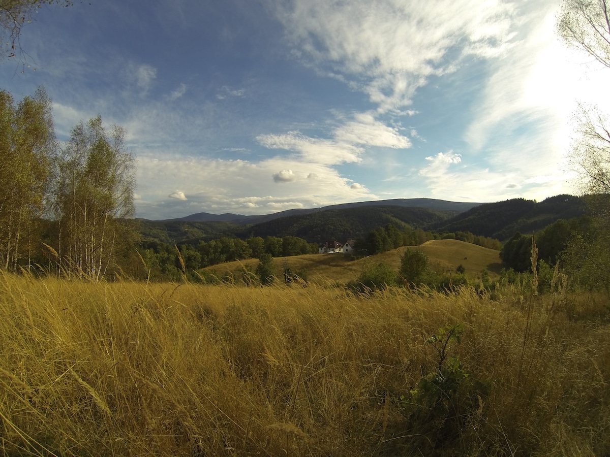 Halinówka in the Owl Mountains