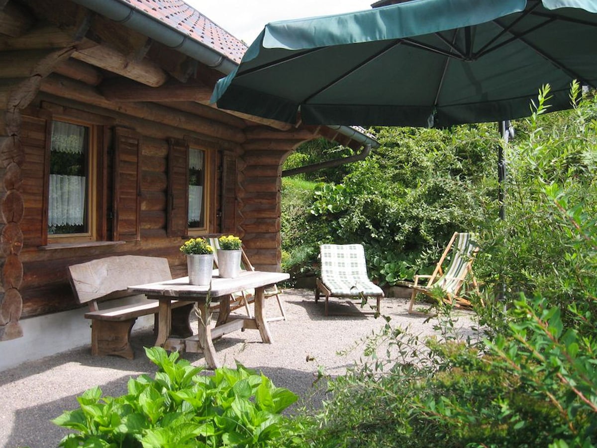 Ackerbauer小屋（ Trendelburg-Gottsbüren ） - ， Ackerbauer小屋， 29平方米，阳台和花园， 1间卧室，最多2人