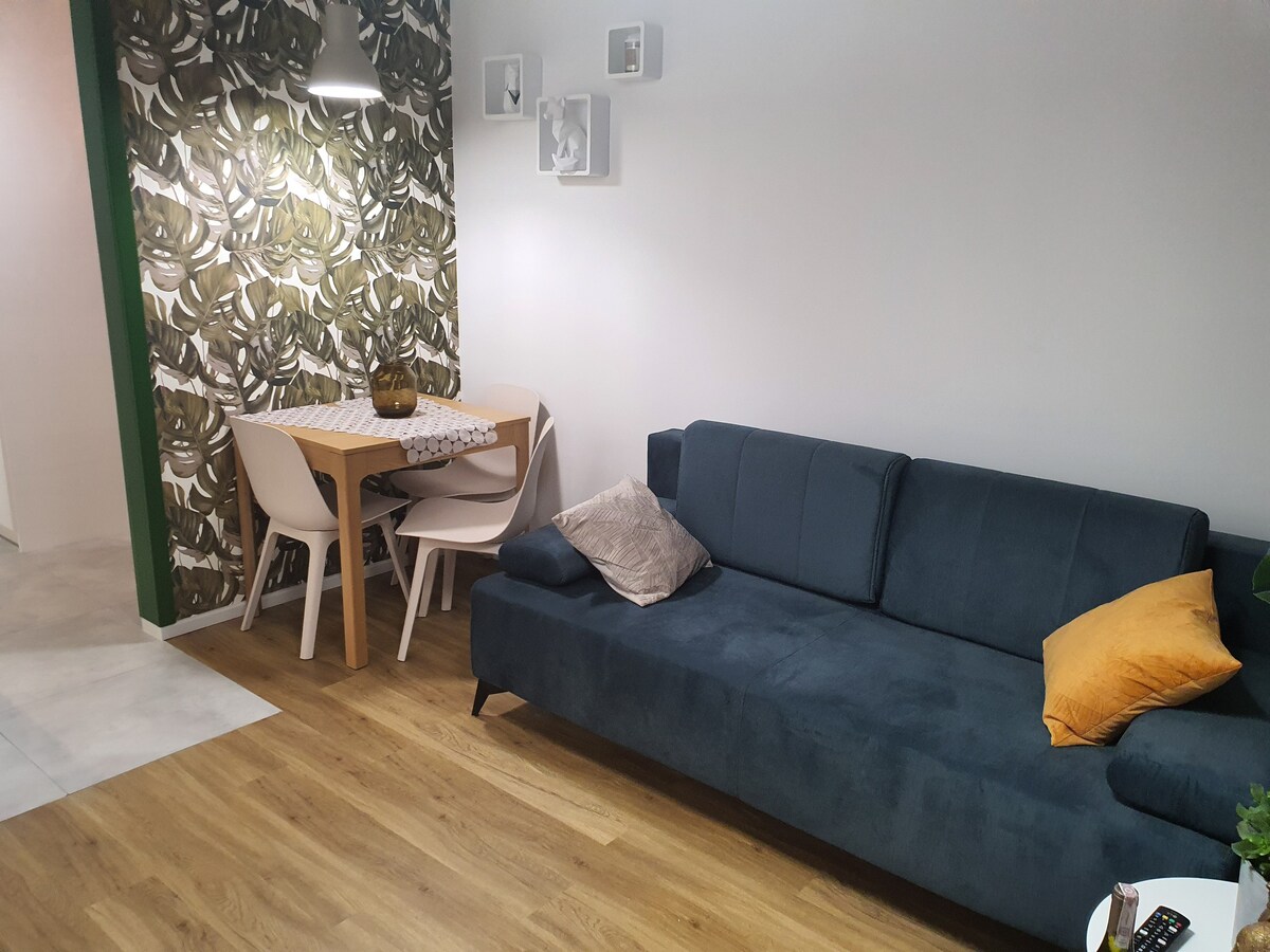 Uroczy Apartament Soft Loft Przedmiejski