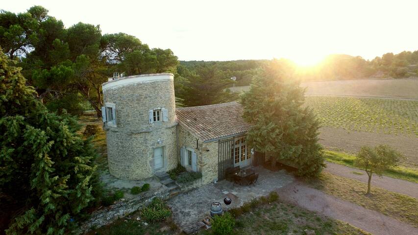 Laure-Minervois的民宿