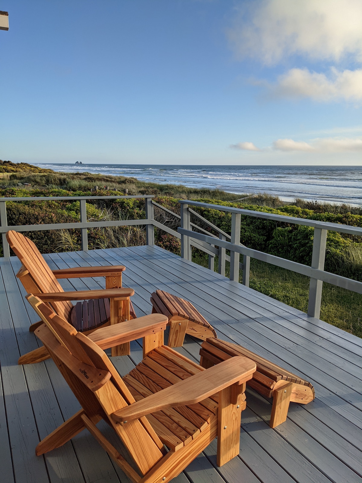 The Gullymonster Oceanfront Beach Cabin