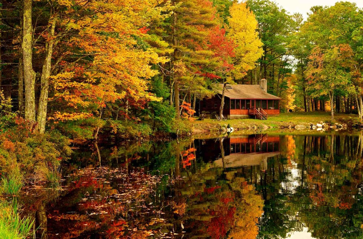 美丽的湖滨小木屋