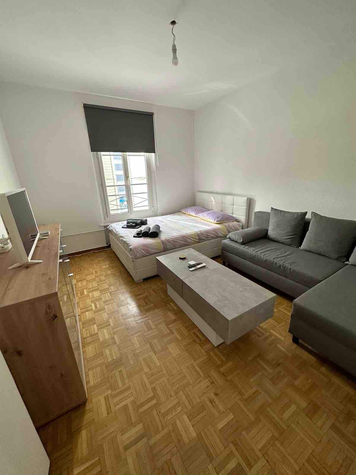 Petit appartement cosy au centre de Carouge