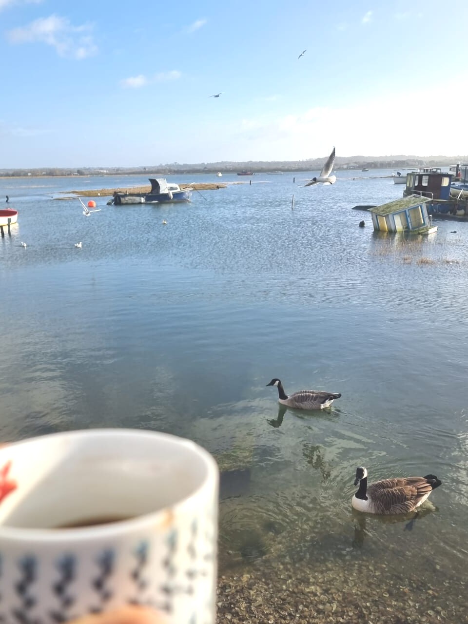 Holes Bay Poole, right next to the Water