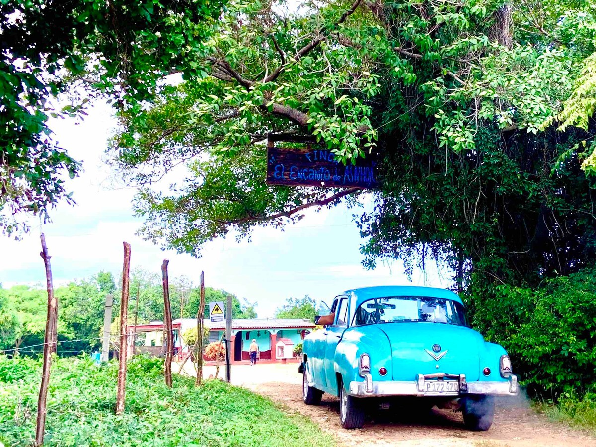 VIVE EL PARAÍSO EN LA FINCA “EL ENCANTO DE AINHOA”