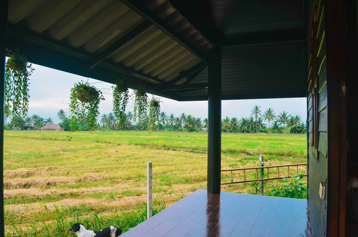 Farmstay in the Thai countryside - 2