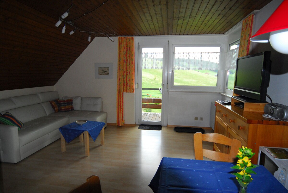 Drei Tannen und Ferienhaus Schneider, (Todtnau), Erle, 38qm, Balkon, 1 Schlafzimmer, max. 3 Personen