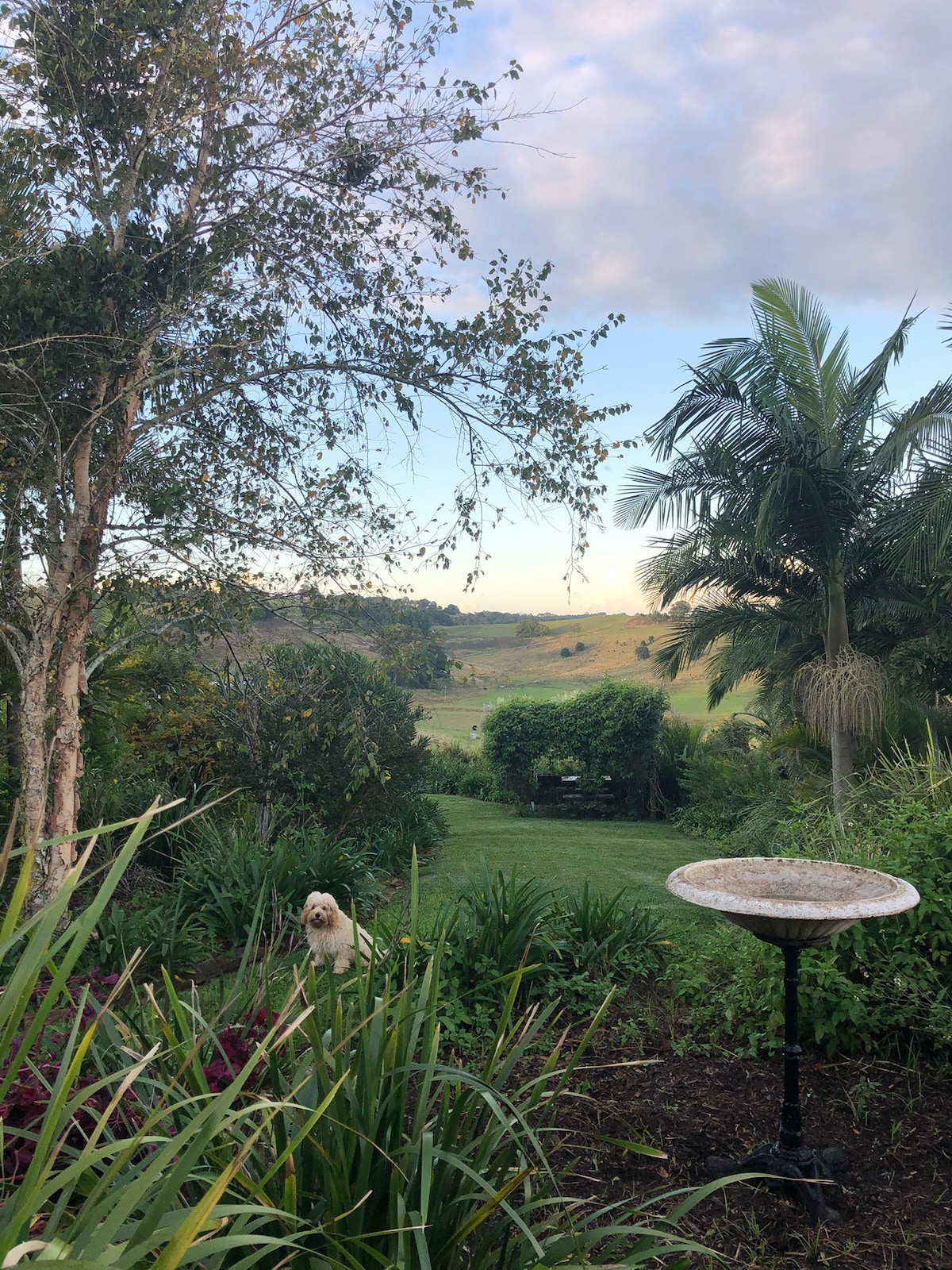 Hinterland Cottage with Views