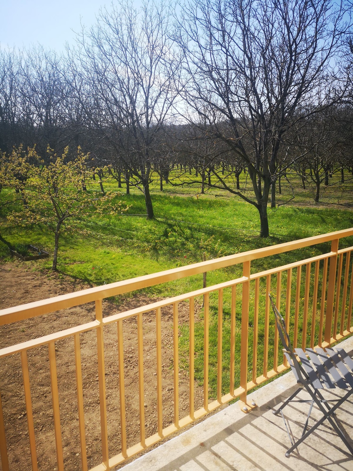 Appartement à la campagne vue sur belle noyeraie