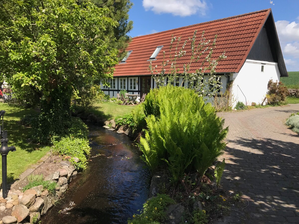 宁静的乡村民宅，位于大自然区，靠近欧登塞（ Odense ）