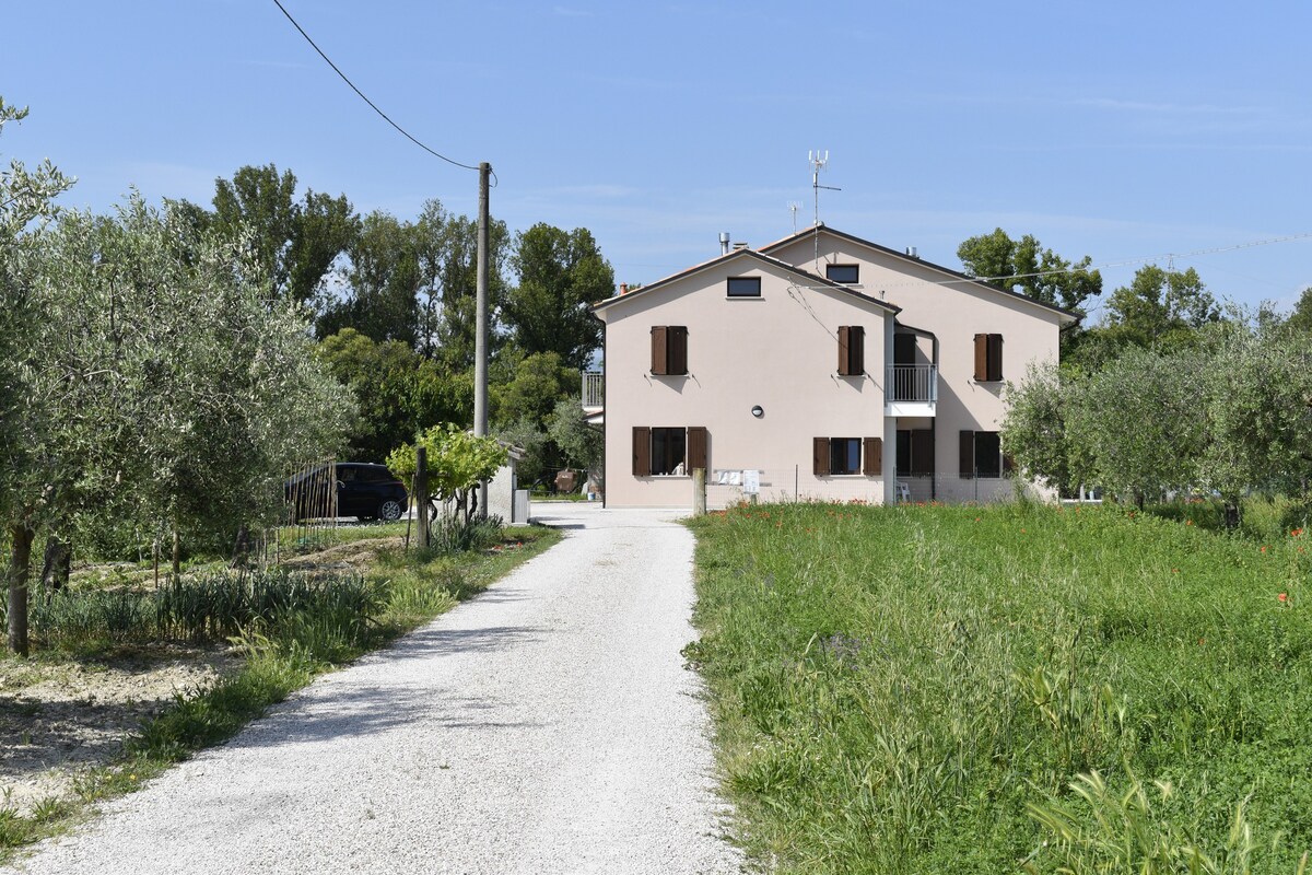 In Campagna, Tavernelle di Serrungarina