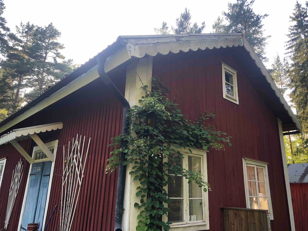 森林中的120年瑞典小木屋