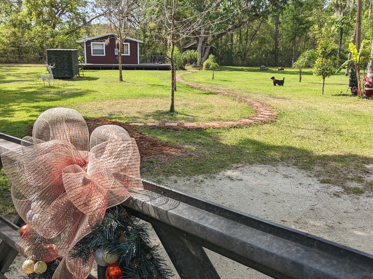 森林中的清澈落地/小屋