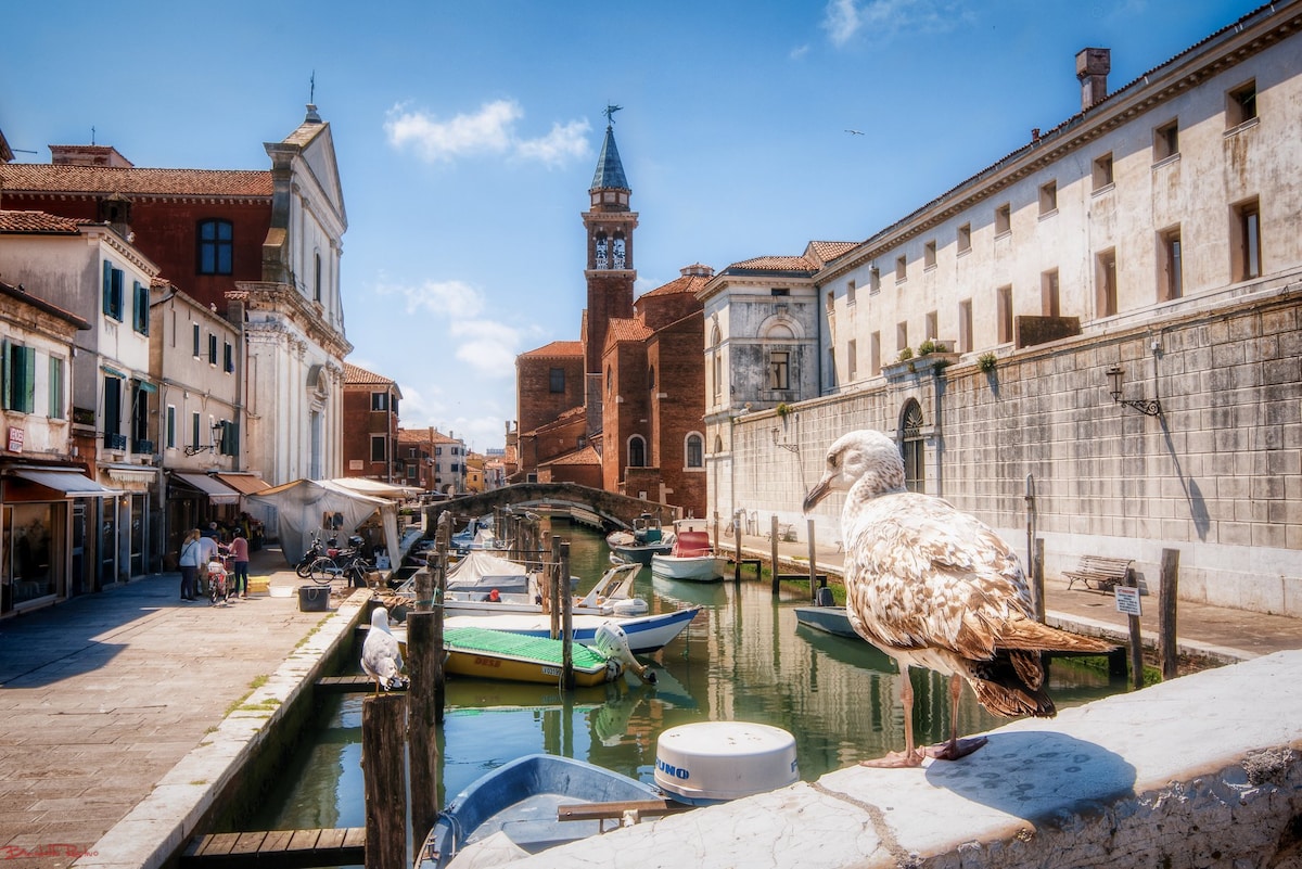 Leo 's Dream House - Casa Vacanze Chioggia Venezia