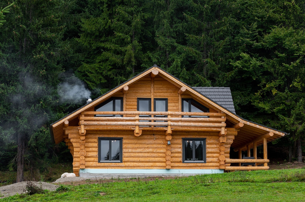 Harghita Log Houses , Barna Medve