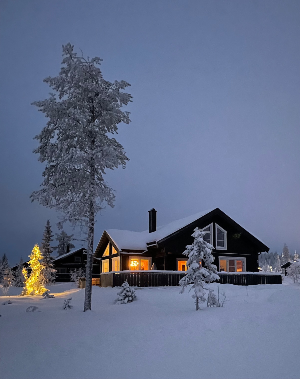 Cabin near Trysil:sauna, jacuzzi on demand