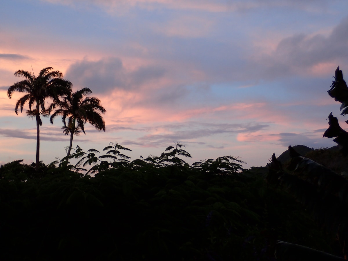 Monkey Blind, Gingerland, Nevis