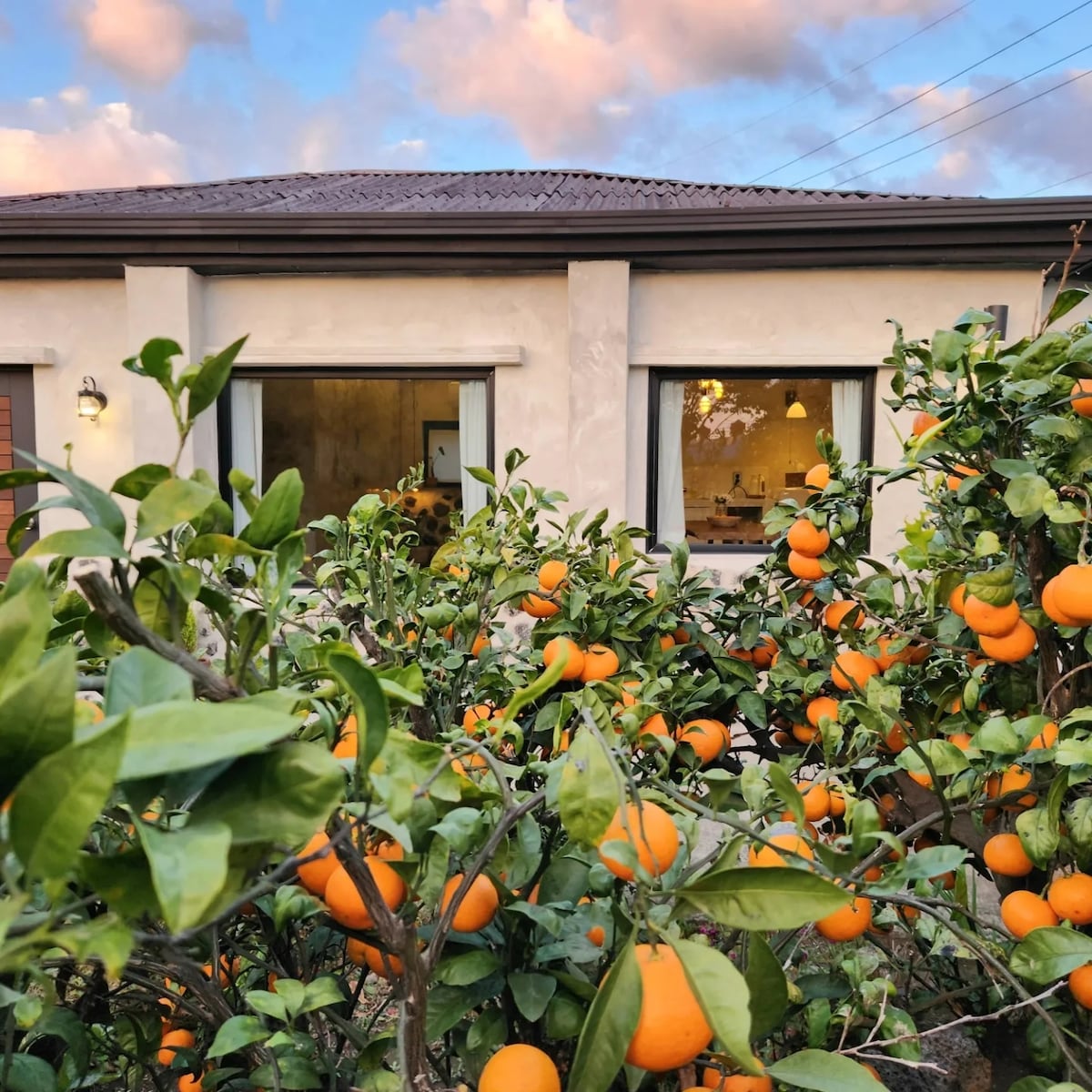 可欣赏橘子田景的私人住宿_住宿
橘子橘园景观户外按摩浴缸济州石屋、Haruhan团队、火坑