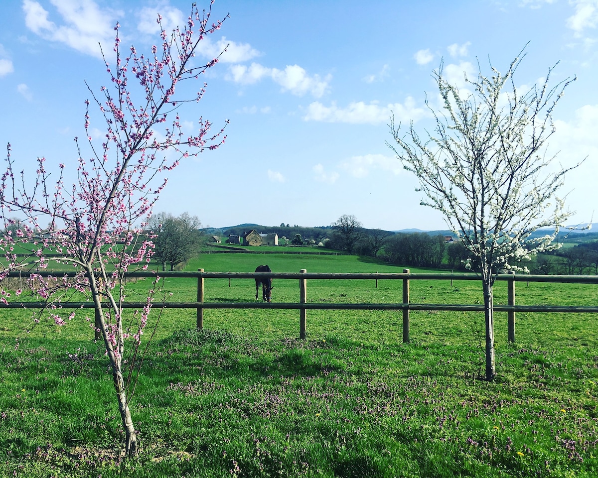 Gite Repos et Nature ：欢迎回家！