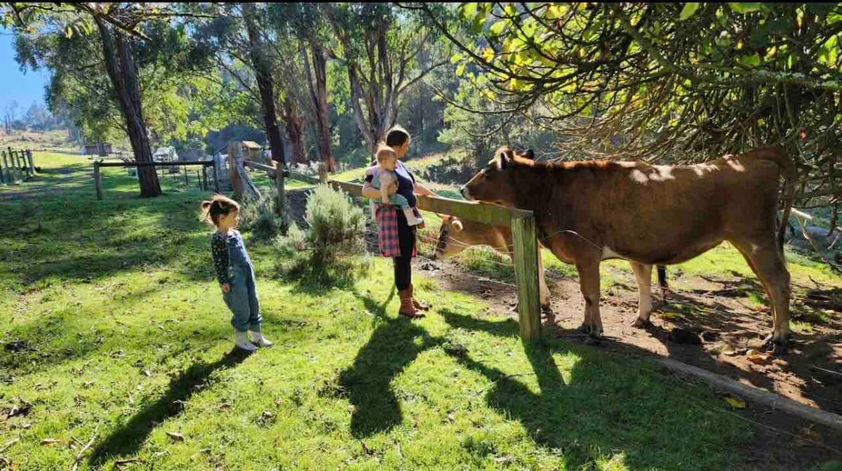 Wild Falls Farmstay Cottage