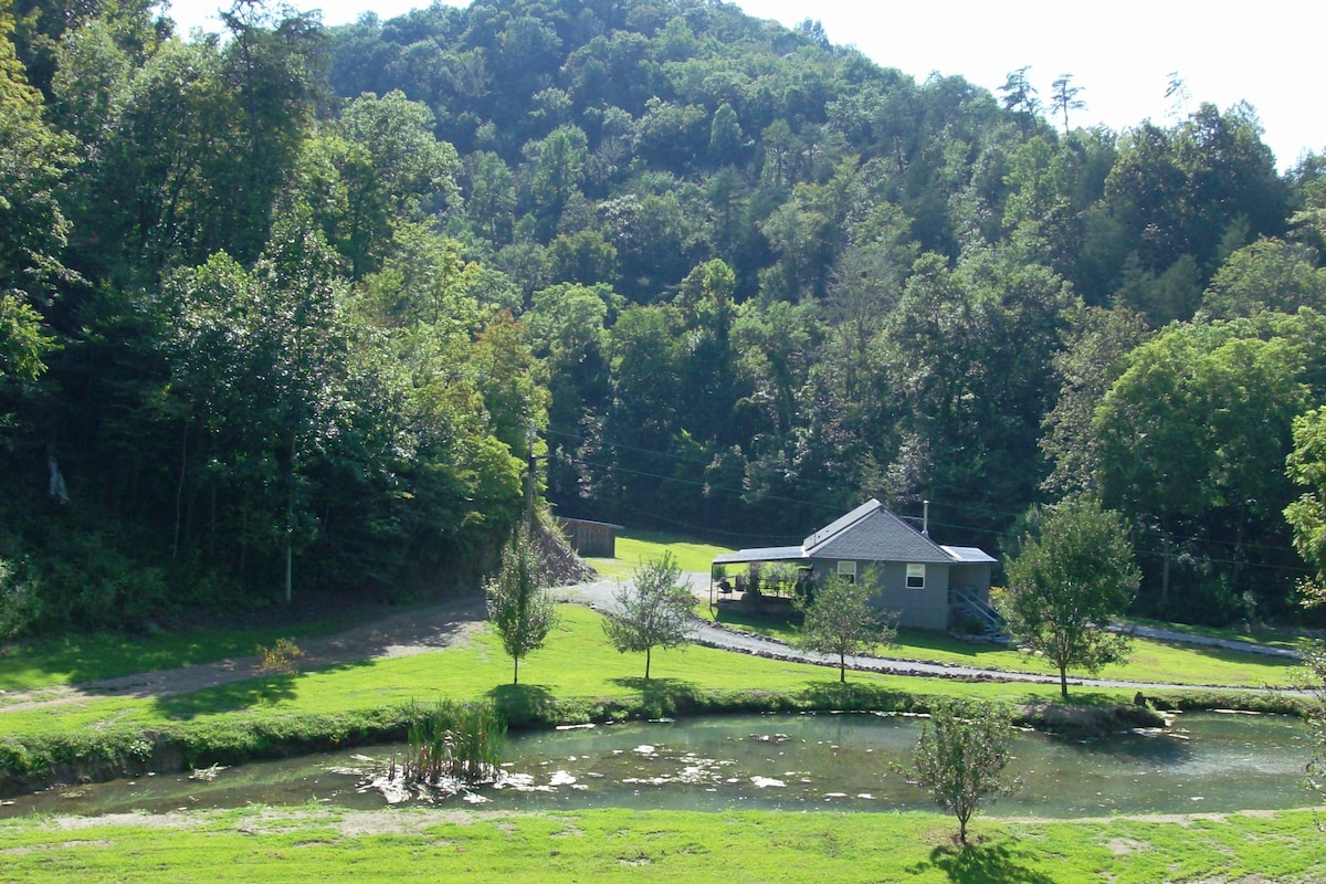 Cody Hollow Cozy Cottage in the Mountains。