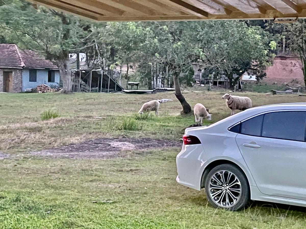 Fazendinha LAHM - Casa de Campo na Serra Gaúcha