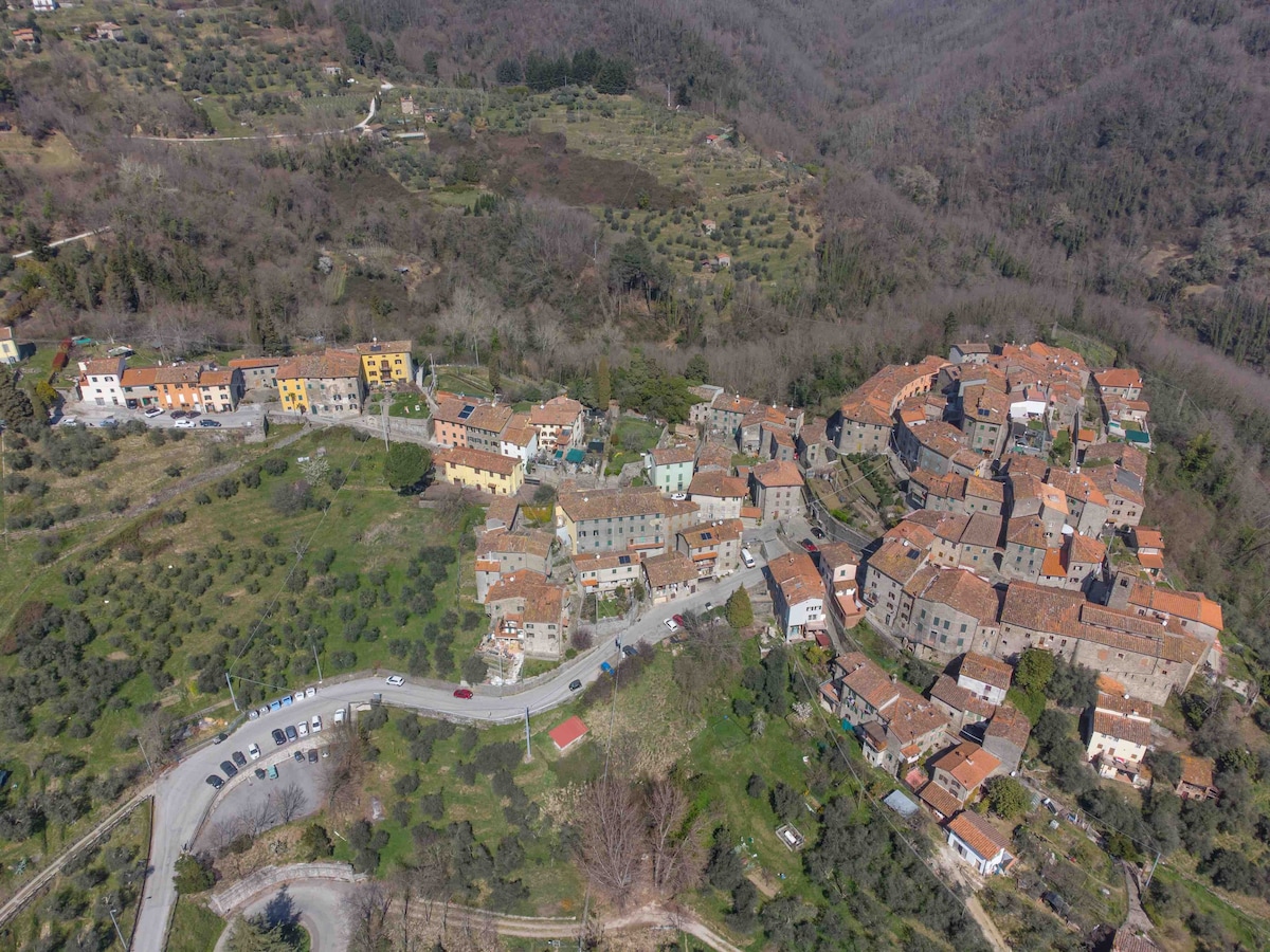 "LA PIEVE" Dingo's Family House