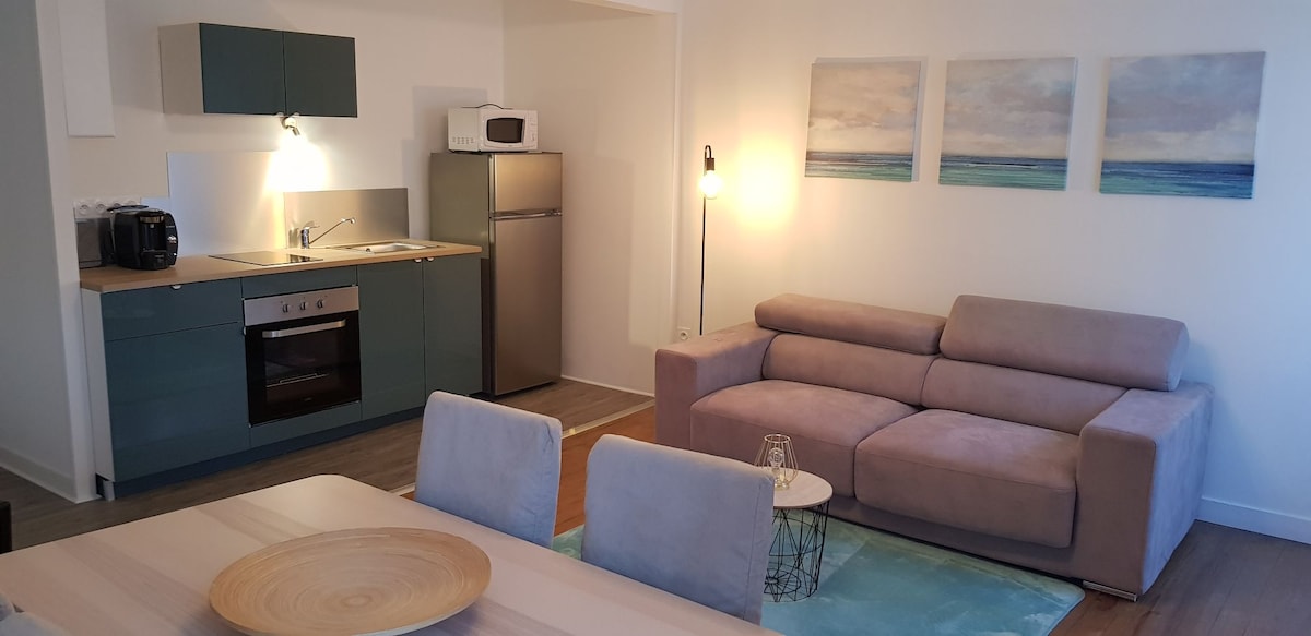 Appartement 4 personnes Saint Julien Montdenis.