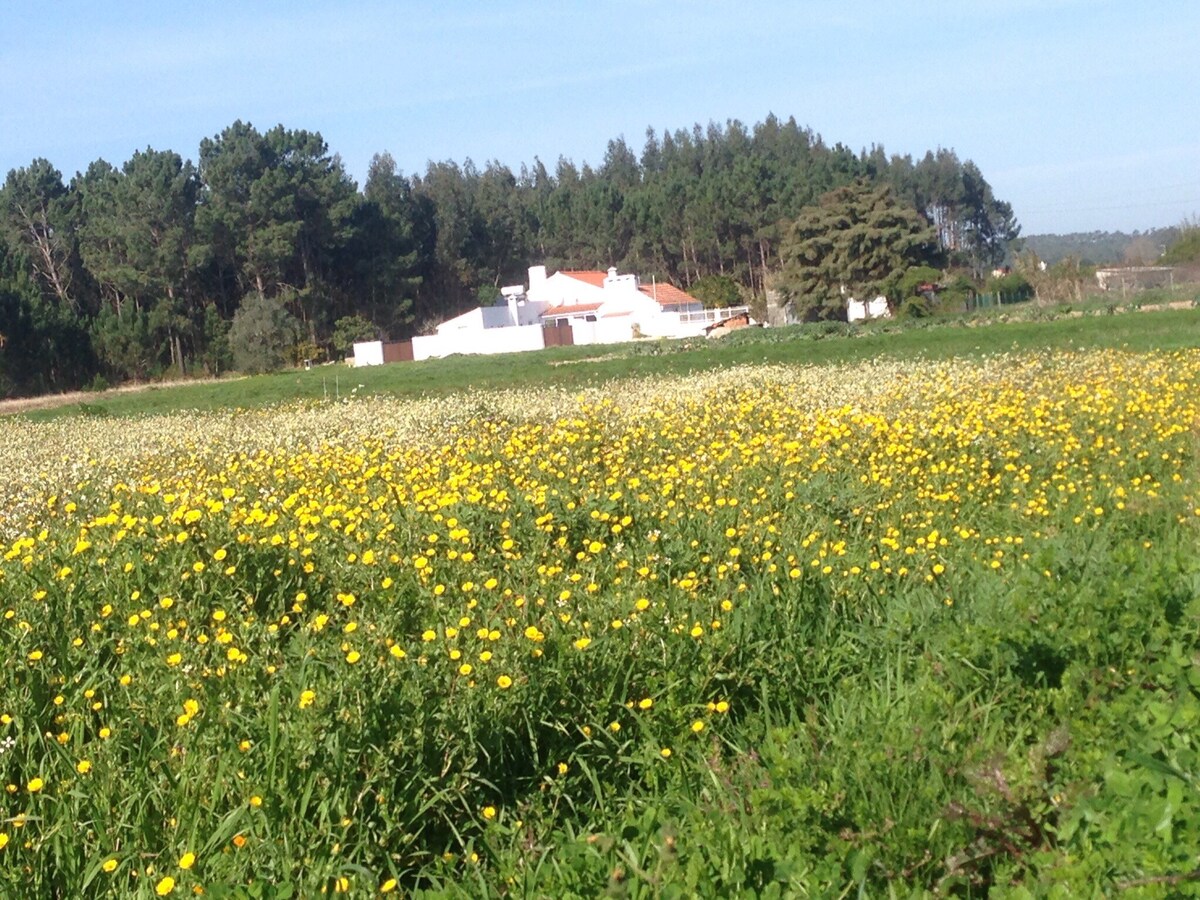 Cottage in the country