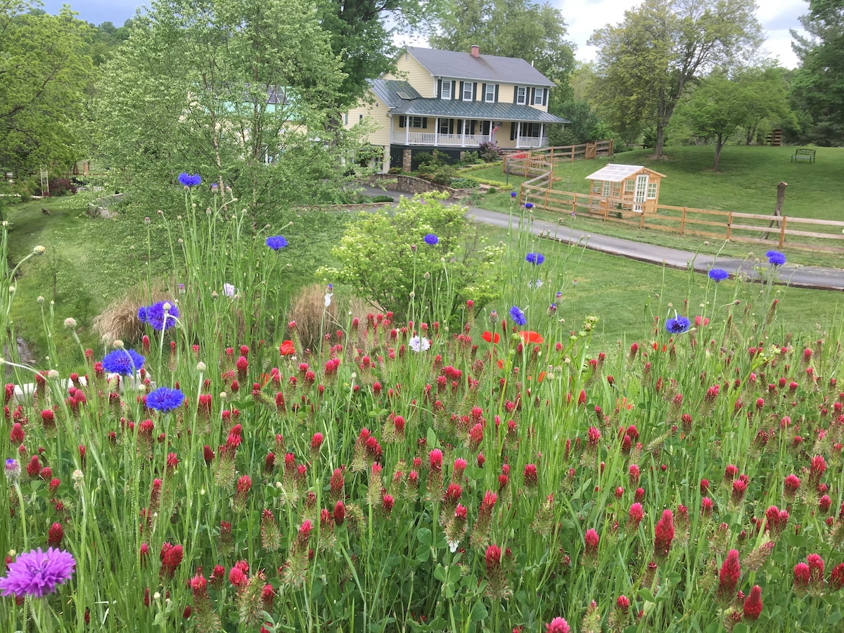 位于Loudoun葡萄酒之家（ Loudoun Wine Country ）的心脏地带，农场度假！