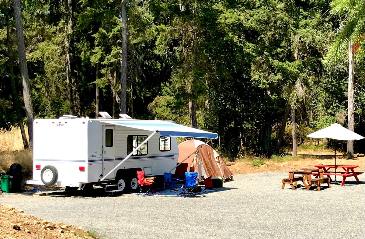 Wild Coast Parksville Camping Site