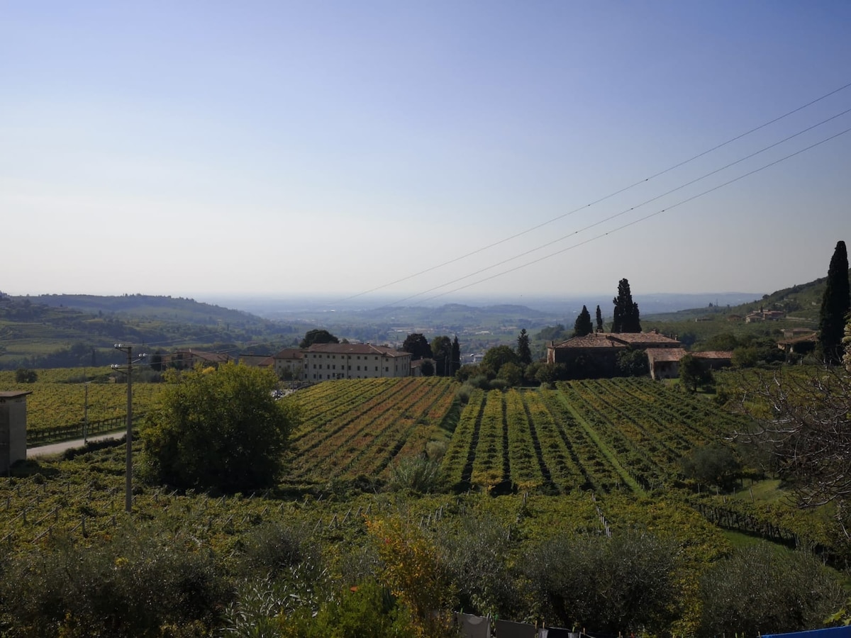 公寓位于瓦尔波利切拉（ Valpolicella ） ，沉浸在宁静之中，可观赏全景。房源停车场。游览维罗纳市、加尔达湖和莱西尼亚的理想位置。新装修的公寓，裸露的梁。