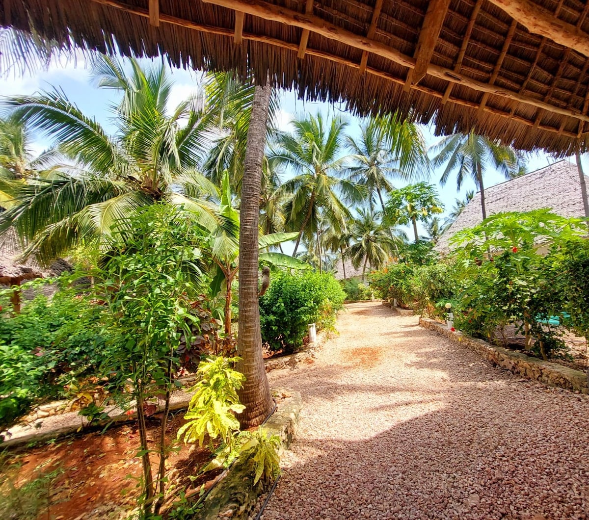 The Octopus Garden Zanzibari Style Macuthi Lodge 3