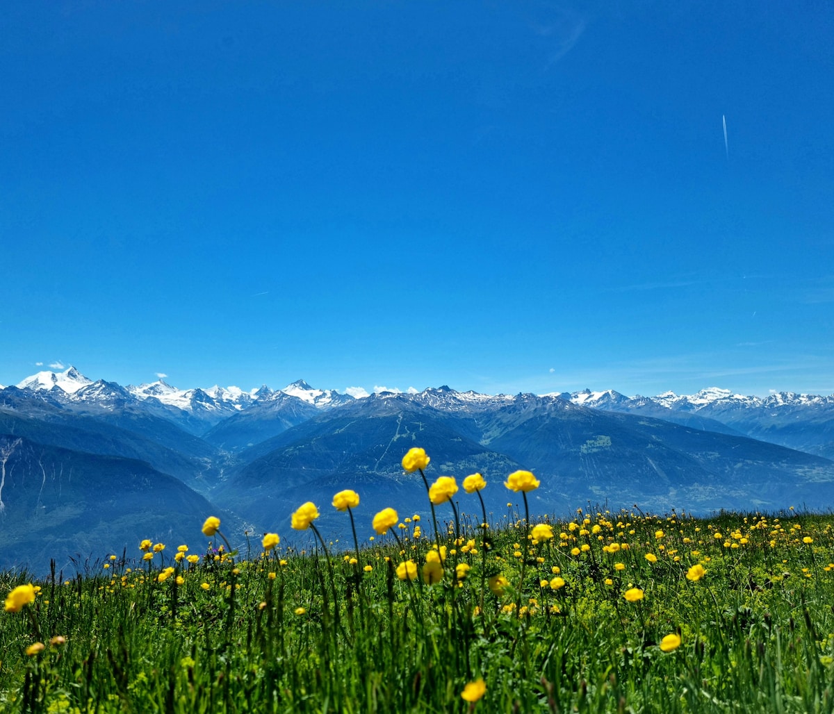 Neige, nature, vue, terroir et authenticité