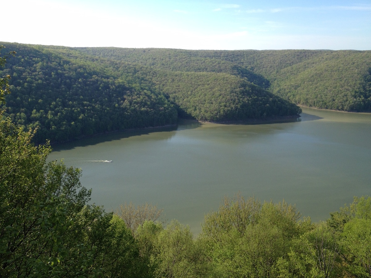 大卫营地：温馨的Allegheny Forest Retreat