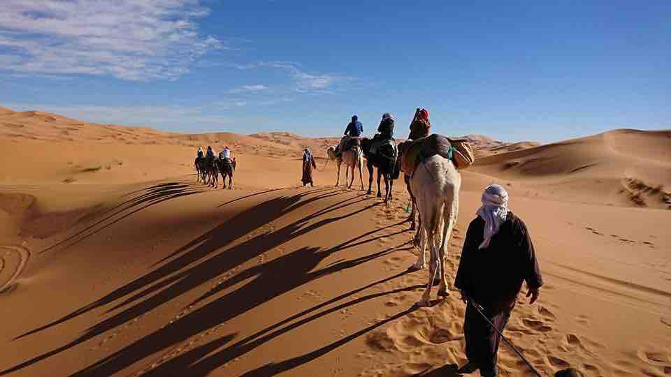 梅尔祖加沙漠骆驼野生动物园
