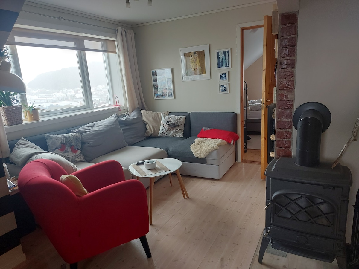 An apartment with a view of the Ålesund city.