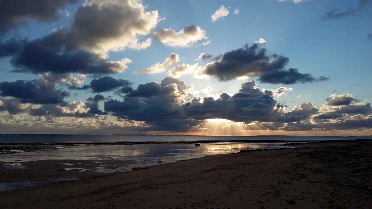 Moby Dick - JUNO BEACH - 20米de la plage