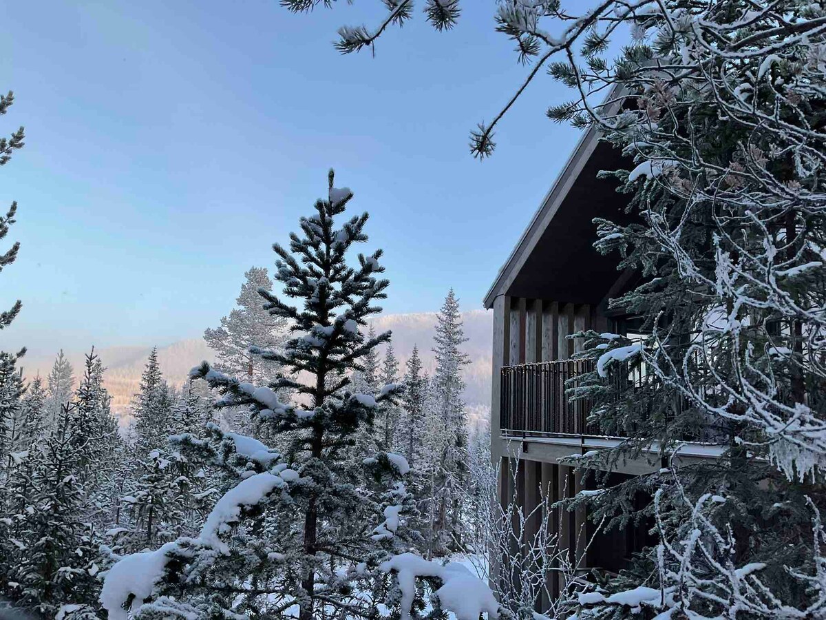 Newly built 4-br chalet in Funäsdalen