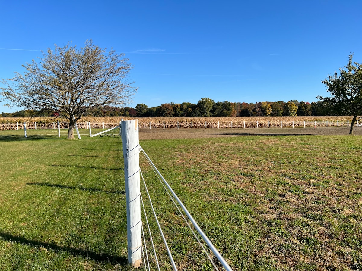 Three Bs Horse Ranch