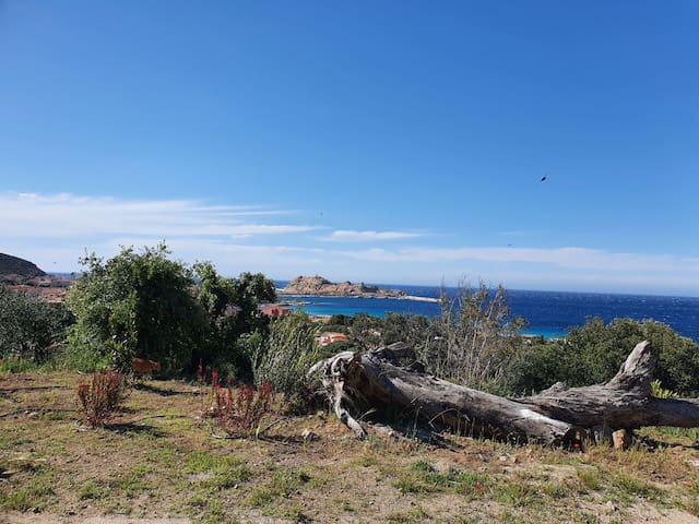 L'Île-Rousse的民宿