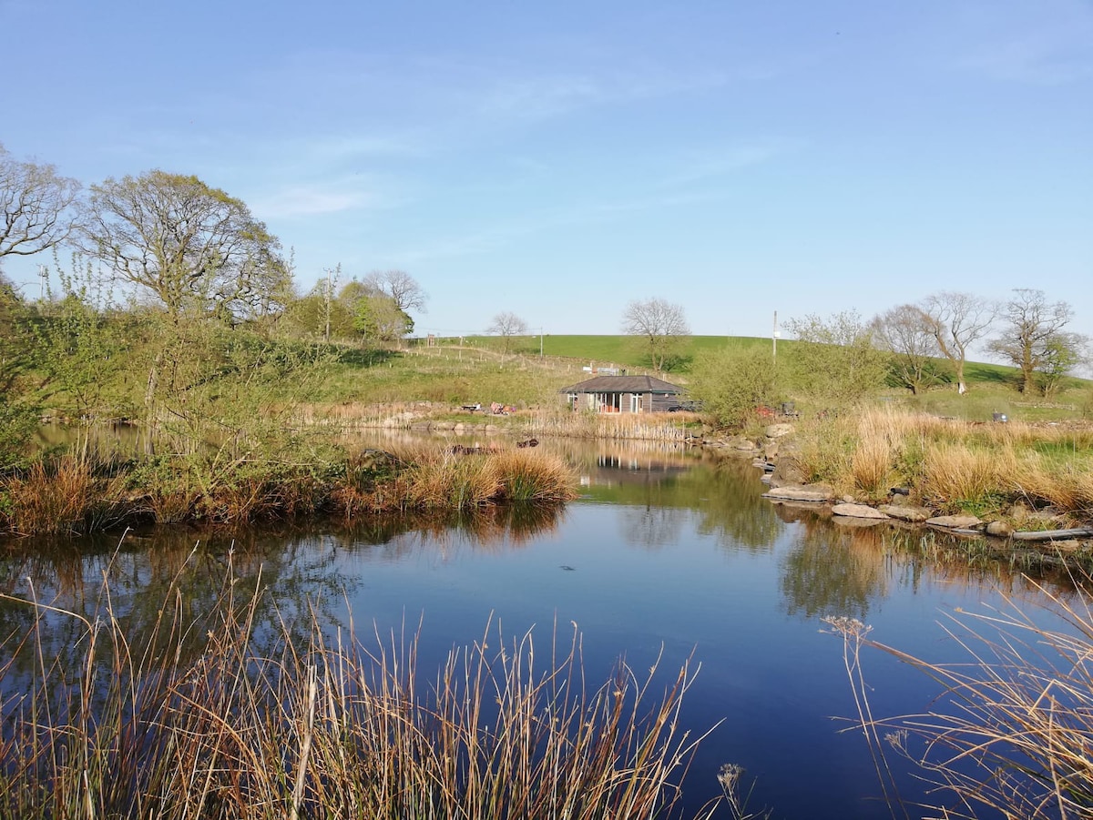 The Duck Hut