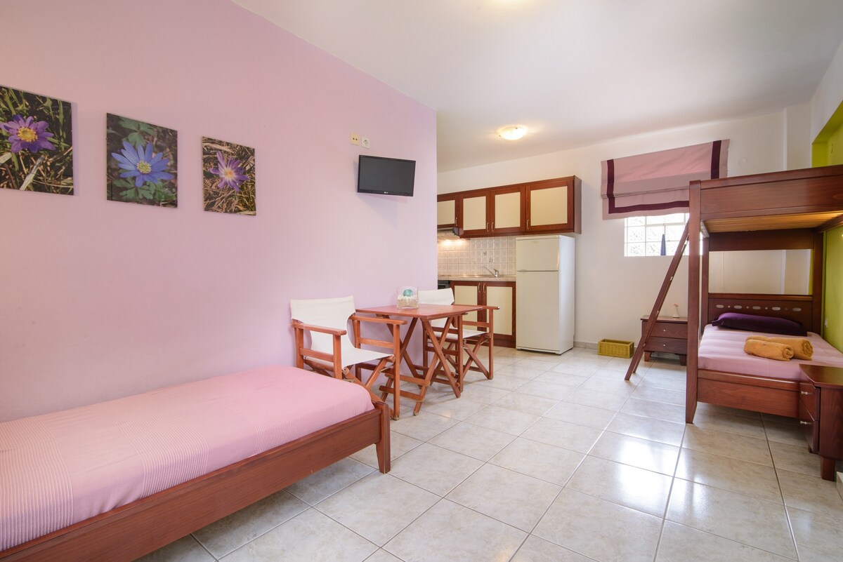 No 5 apartment, 5-bed, Aristea, Sarti.