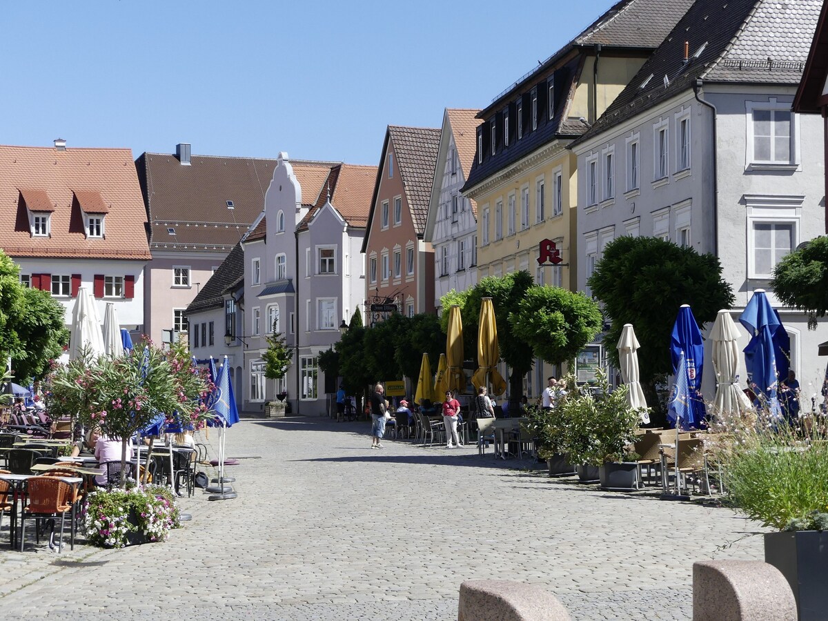 Hirsch酒店（ Günzburg ）单人房