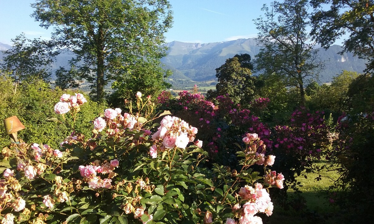 Maison Montagne Pau Pyrenees